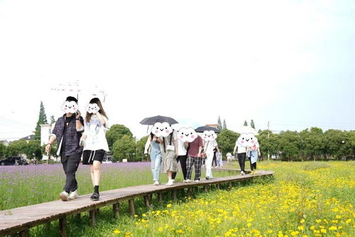 趣也青年 這個周末有點甜——戶外燒烤、游戲暢玩與花海打卡的動漫之旅